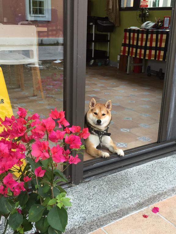 Apartamento Lei Mi Er Hua Yuan Min Su Pinghe Exterior foto
